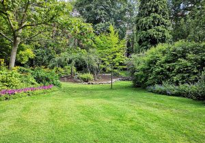Optimiser l'expérience du jardin à Lamontjoie
